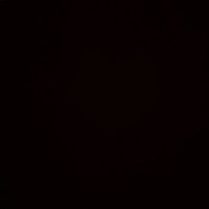 Meet your Posher, Cesar